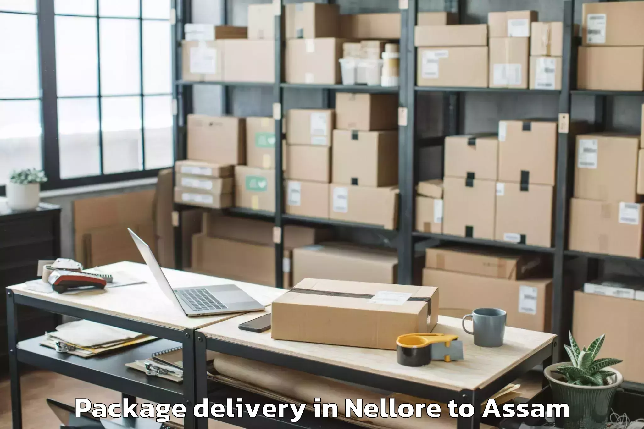 Comprehensive Nellore to Lakhipur Package Delivery